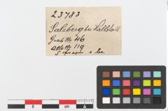 Etiketten zu Bronzering (NHMW-PRAE-023783)
